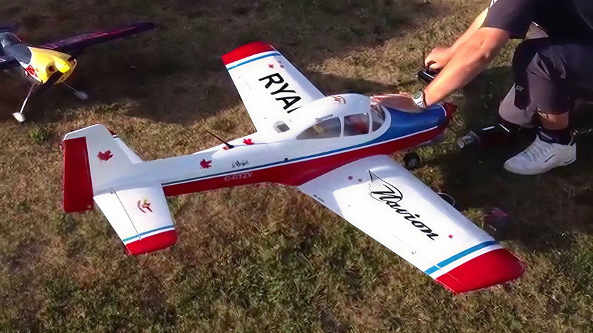 Seagull Ryan Navion size reference with builder
